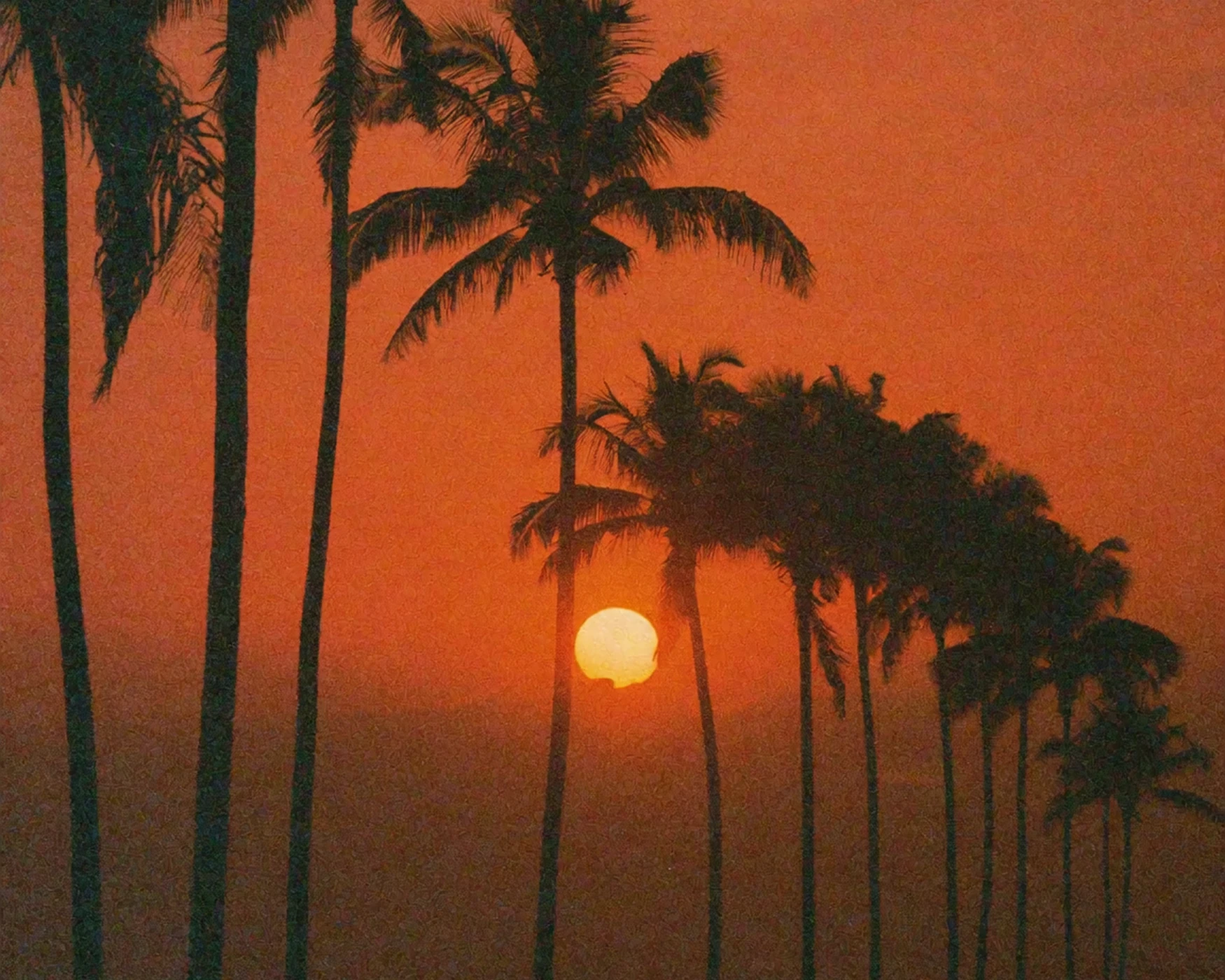 Het verhaal van Hawaiian