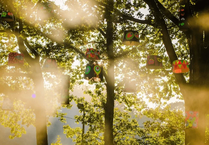 Cultuur in het bos