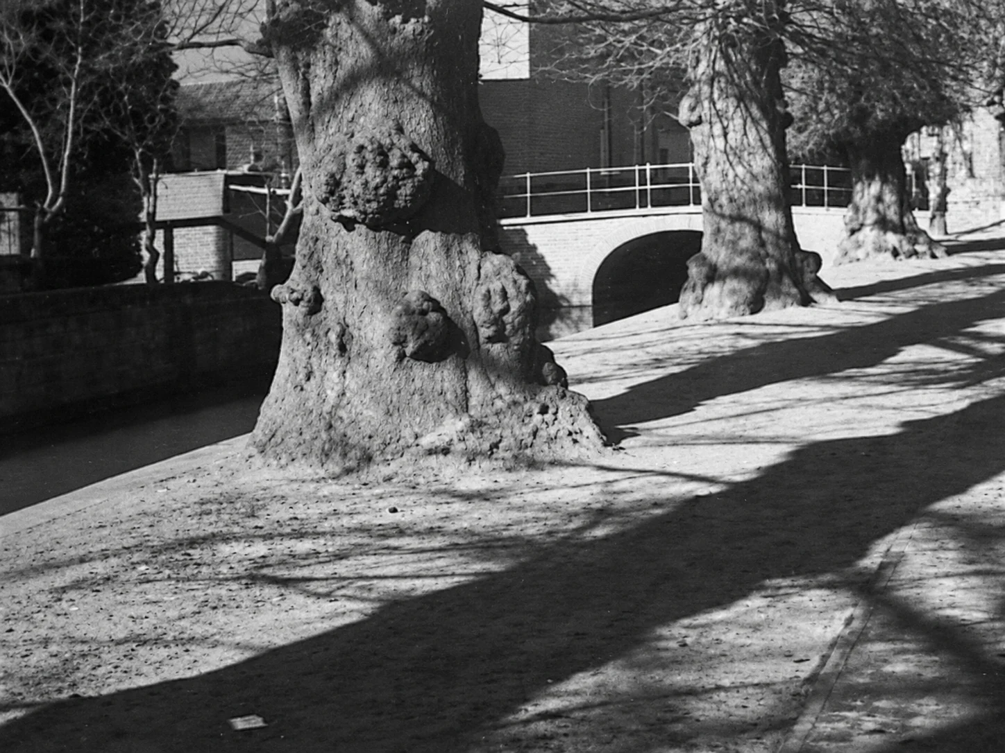 Historische foto van Zuidsingel in Amersfoort