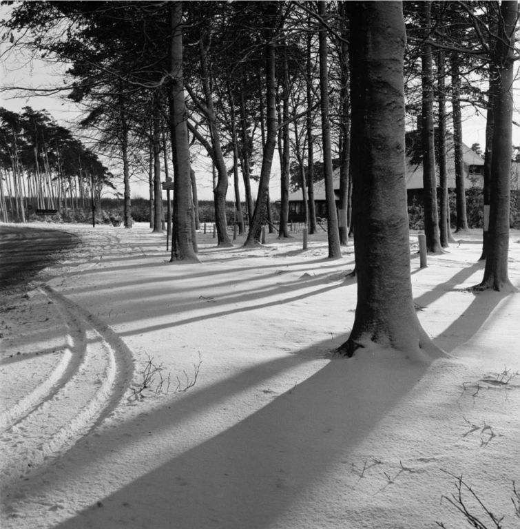 Historische foto van Dierenpark Amersfoort in Amersfoort