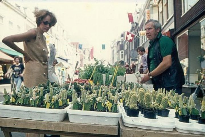 Historische foto van Langestraat in Amersfoort