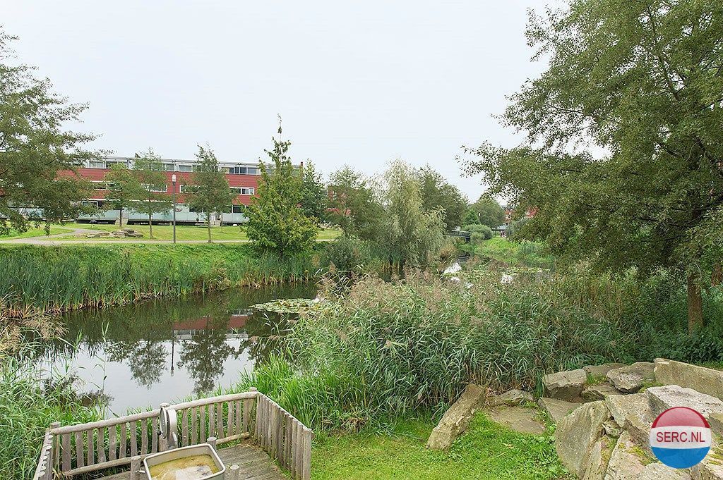 Historische foto van Forel in Amersfoort