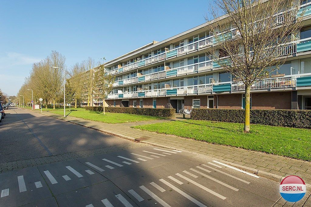 Historische foto van Trekvogelweg in Amersfoort