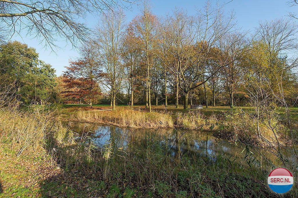 Historische foto van Trekvogelweg in Amersfoort
