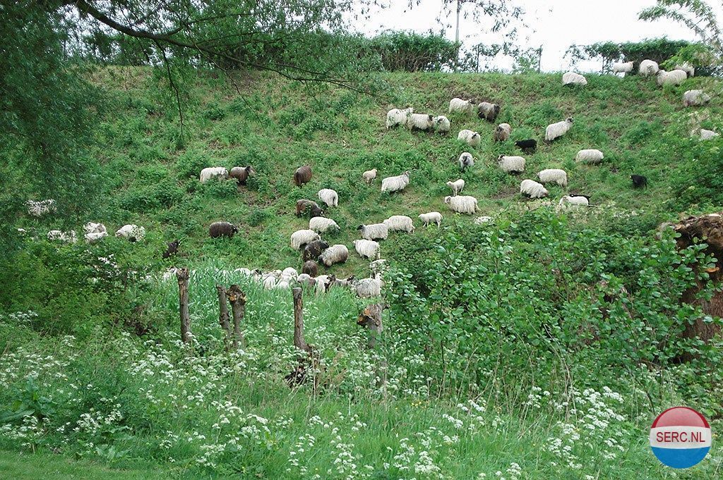 Historische foto van Weg van de Vrede in Amersfoort