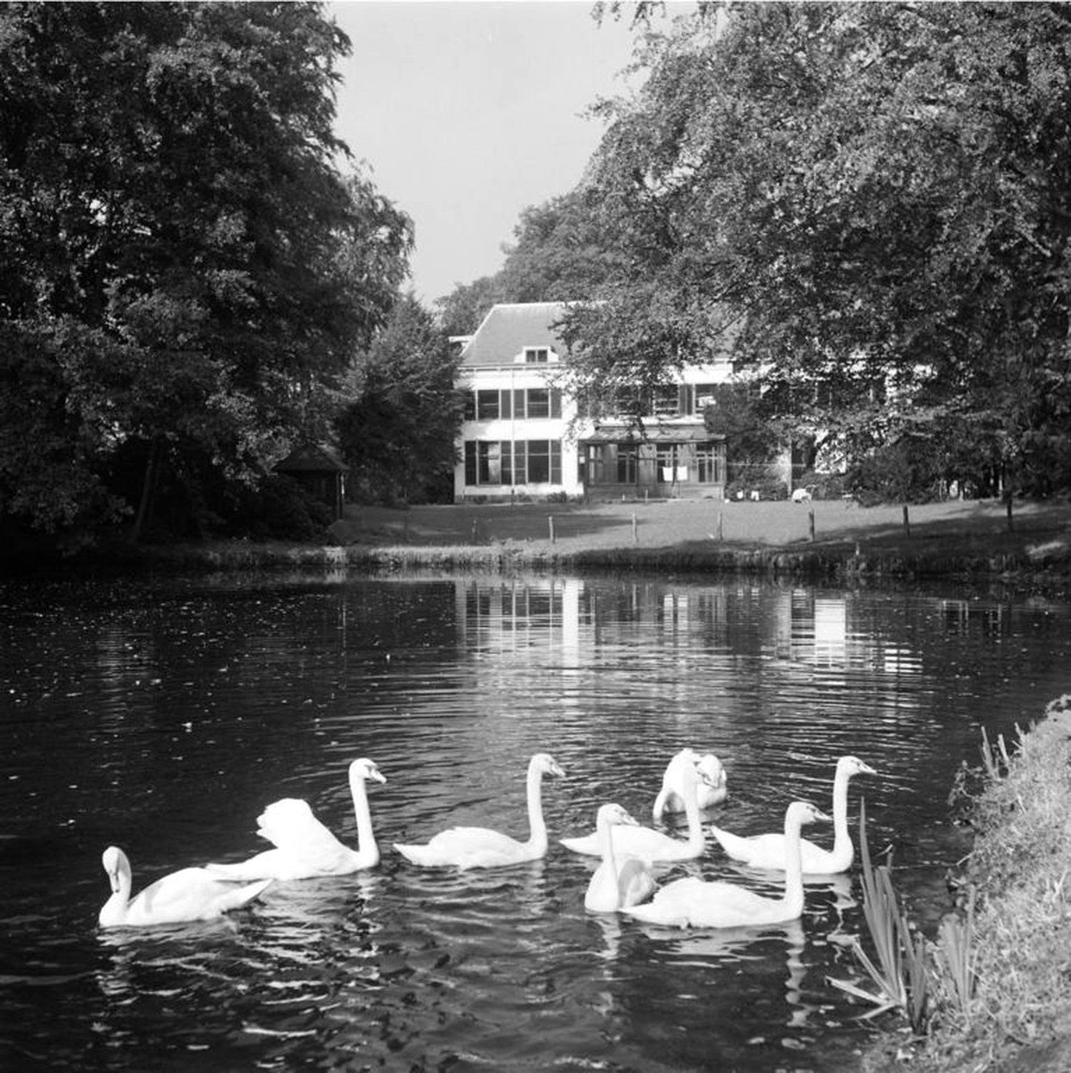 Historische foto van Bijzondere gebouwen in Amersfoort