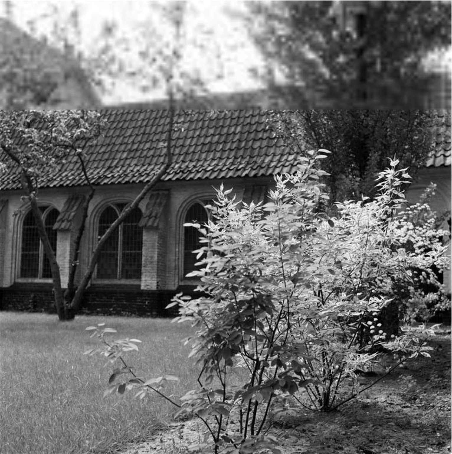 Historische foto van Bijzondere gebouwen in Amersfoort