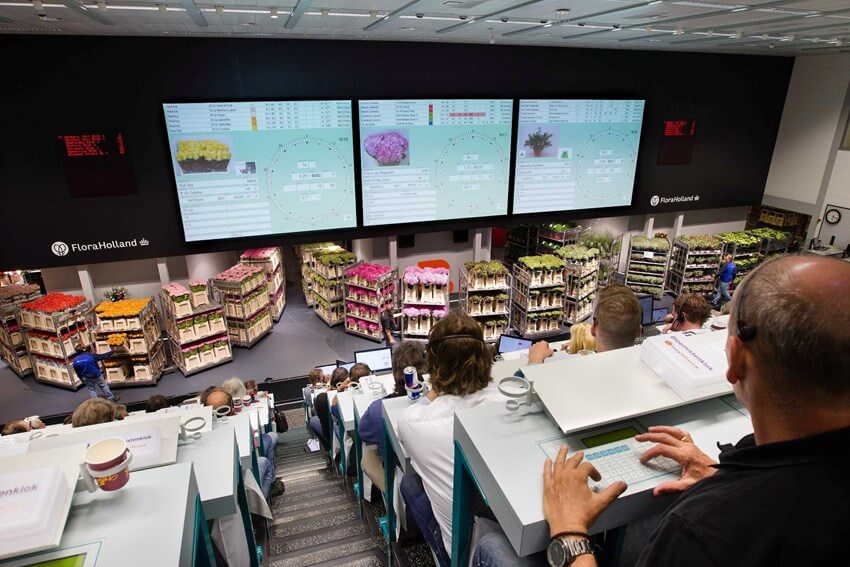 Verse bloemen worden persoonlijk ingekocht