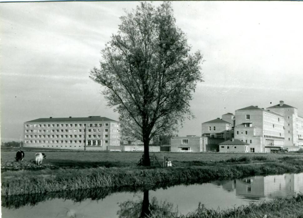 Gorinchem: Streekziekenhuis Prinses Beatrix, rechts op de foto, gezien vanuit een weiland waar nu het Stadspark ligt, begin jaren zestig. Rond 1947 ontstonden de eerste plannen tot de bouw van dit ziekenhuis. Het kreeg uiteindelijk 225 bedden. Links op de foto zien we het Zusterhuis, in de volksmond bekend als de Hunkerbunker.