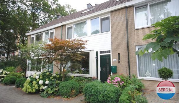 Schimmelpennincklaan