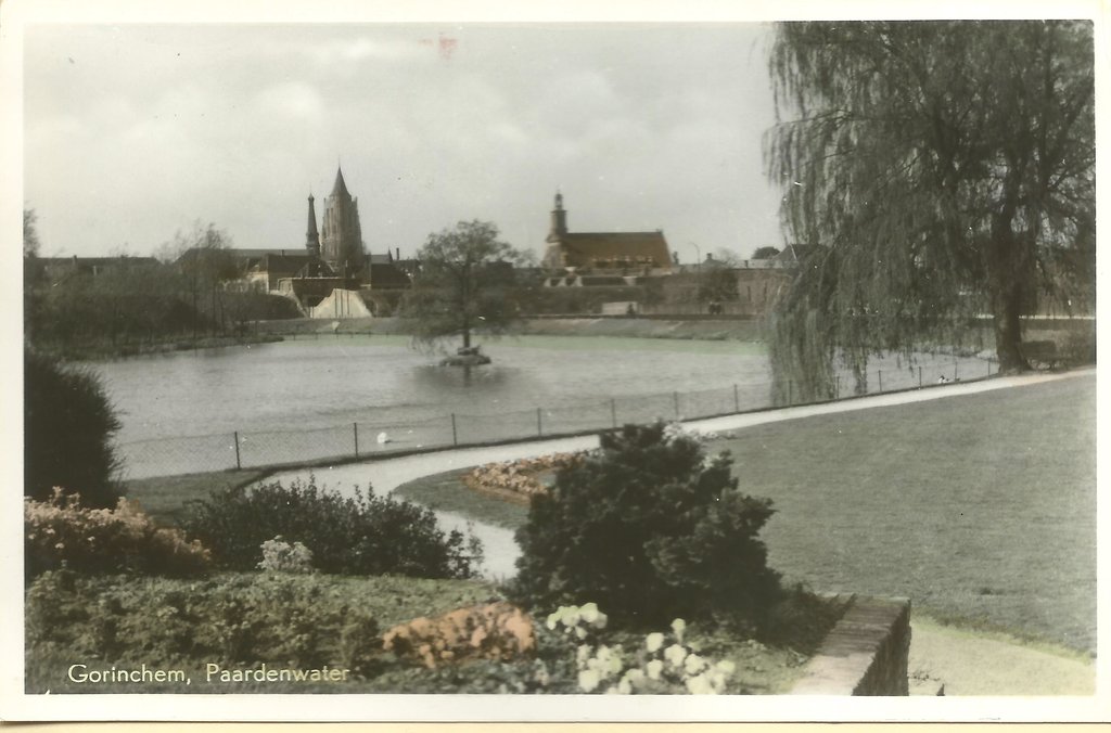 Ansichtkaart Paardewater