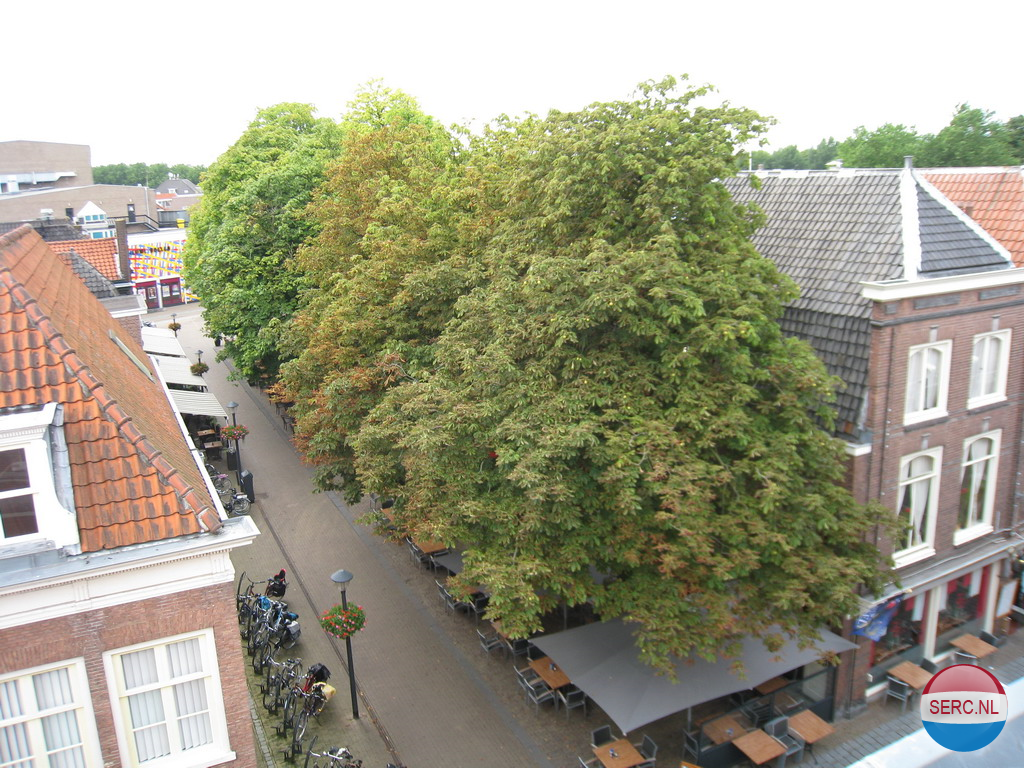 Gorinchem - Arkelstraat