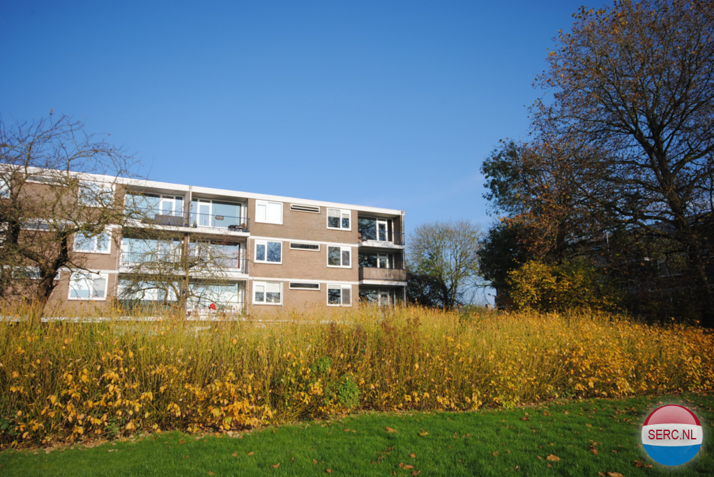 Gorinchem - Chirurgijnstraat