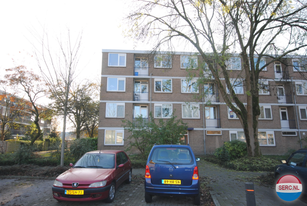 Gorinchem - Chirurgijnstraat