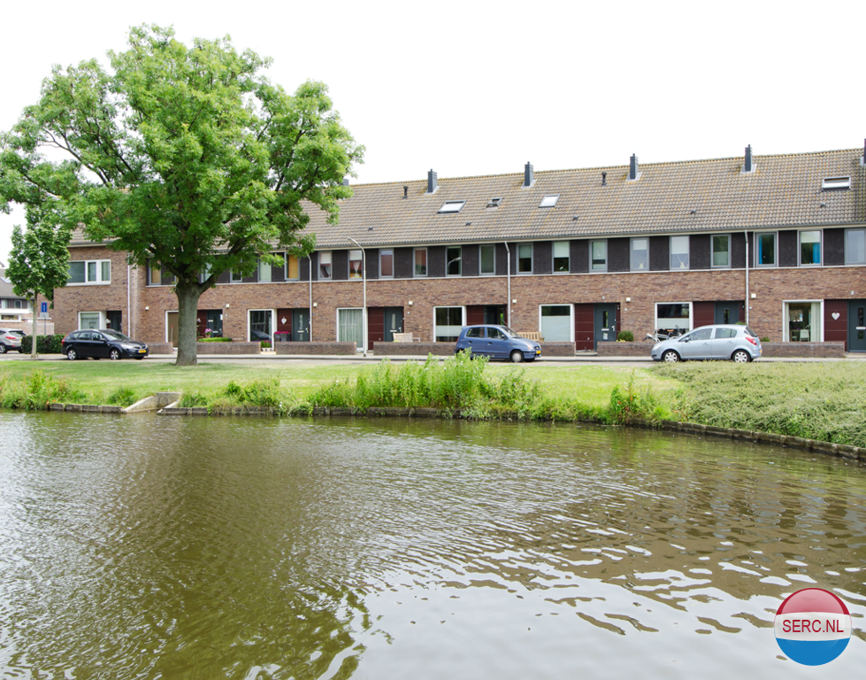 Gorinchem - Eendenplas