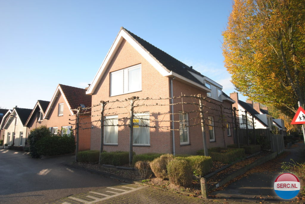 Gorinchem - Lingsesdijk