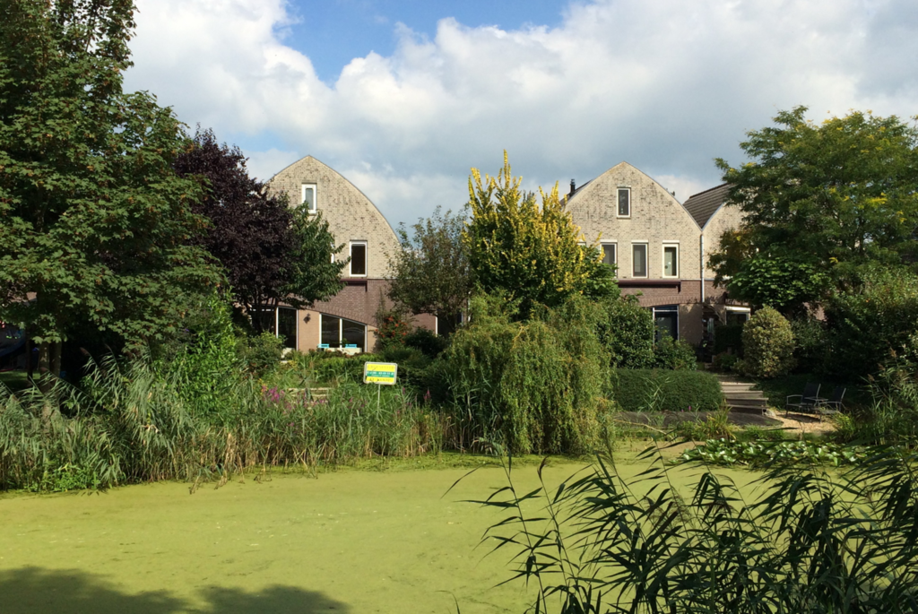 Gorinchem - Prozastraat
