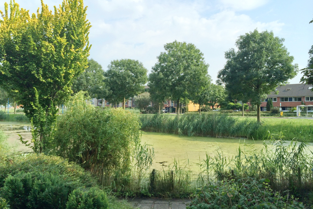 Gorinchem - Prozastraat