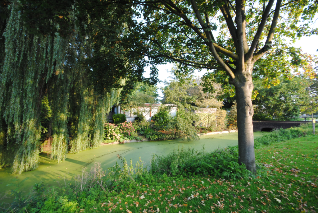 Gorinchem - van Randwijksingel