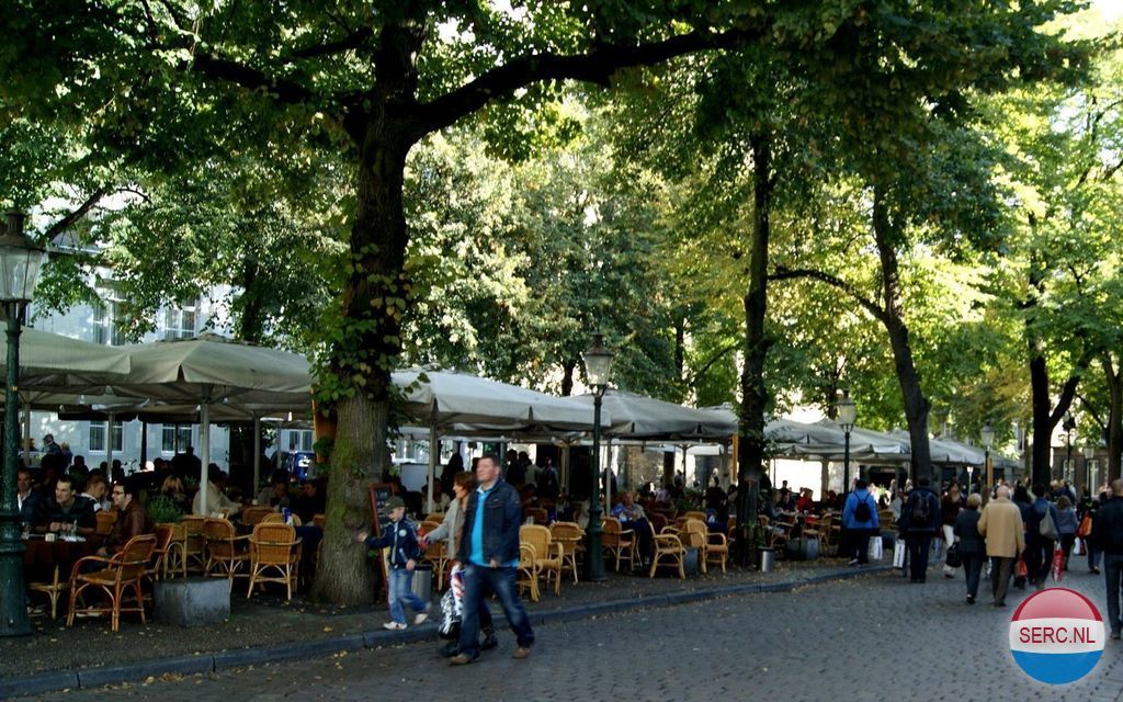 Herkent u iets op deze foto? Vertel ons hieronder meer!