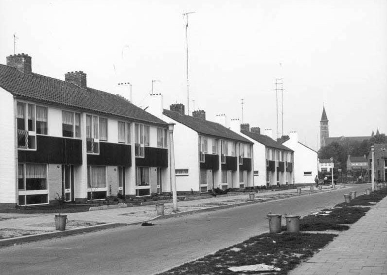Wilgenlaan, tussen de Jekerschans en de Laan van Brunswijk. 1960