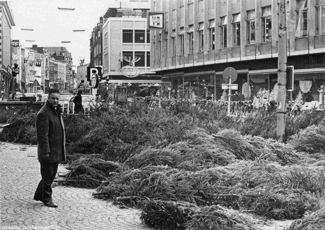Nijmegen 2010: In 1970 kon je nog kerstbomen kopen op de Grote Markt zoals deze foto ons laat zien. In de stad was de gezelligheid van de naderende feestdagen overal te merken. Op de achtergrond zien we Vroom & Dreesmann met haar mooie kerstetalages. Ook zien we de feestverlichting van de Broerstraat en Burchtstraat.