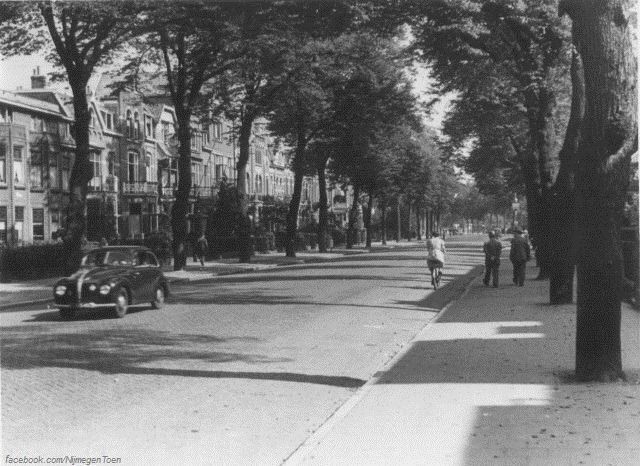 Nijmegen: Een zeer rustige Graafseweg met veel groen aan het begin van de jaren '50