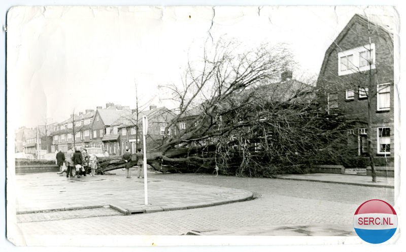 Nijmegen: De Maerlantstraat met een omgewaaide boom omstreeks 1979