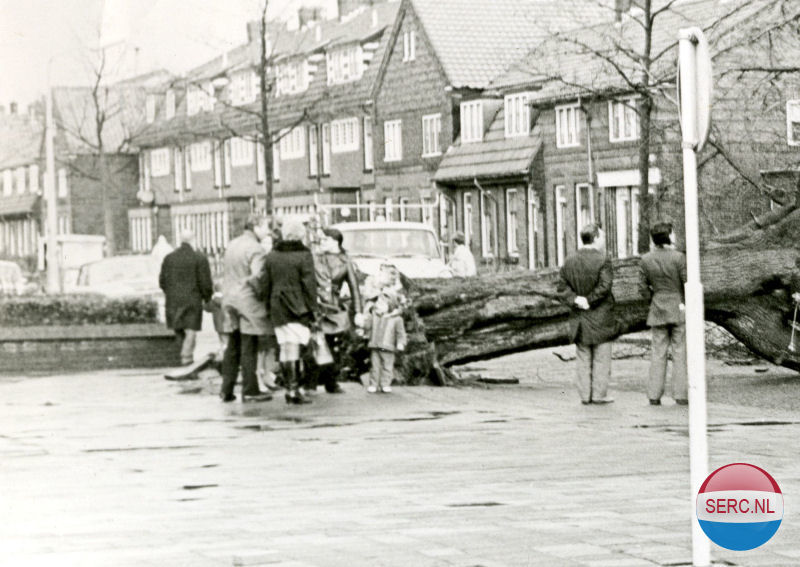 Nijmegen: De Maerlantstraat met een omgewaaide boom in de jaren 70