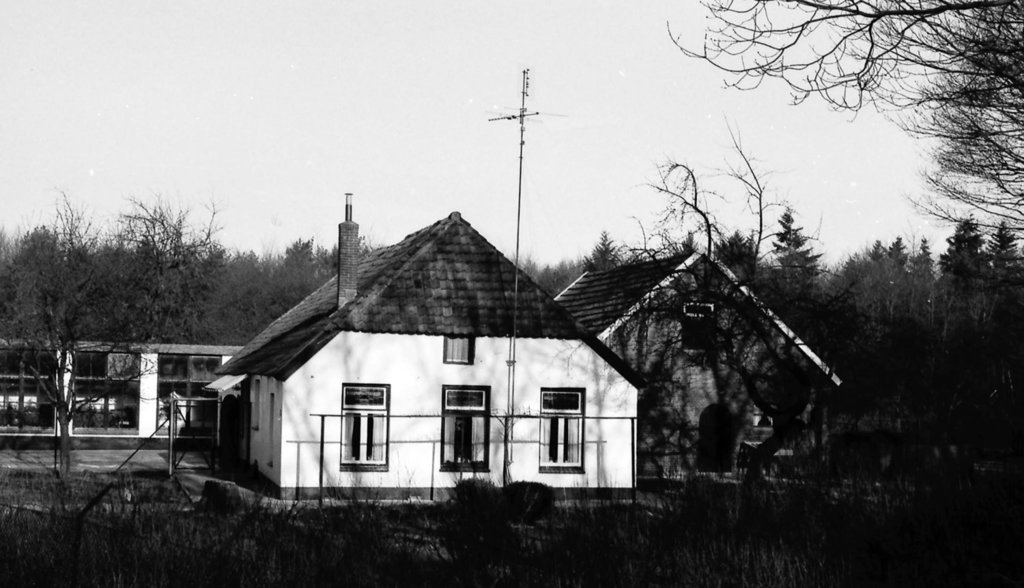 De Ien Daleslaan omstreeks 1979