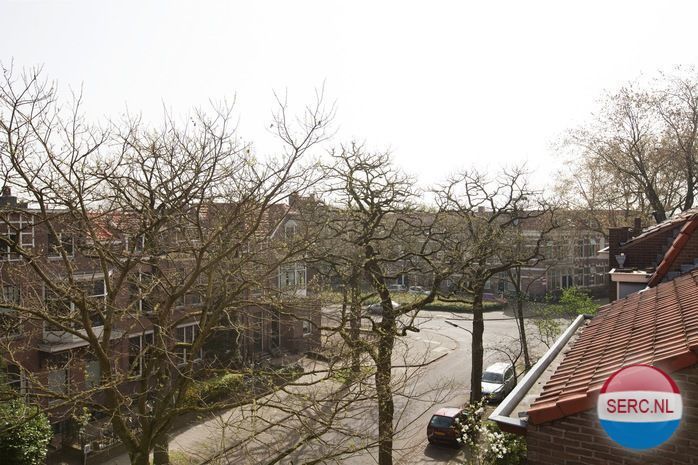 Nijmegen - Bijleveldsingel