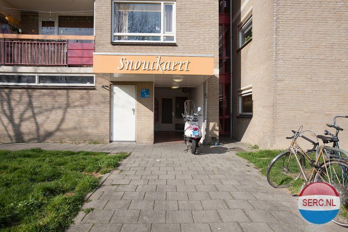 Nijmegen - Tolhuis