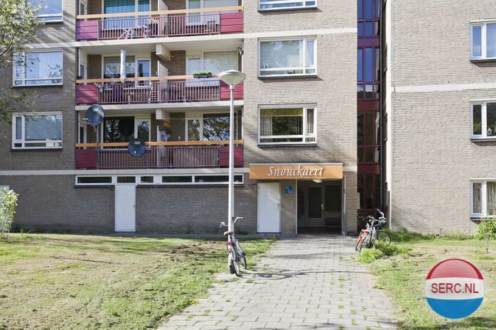 Nijmegen - Tolhuis