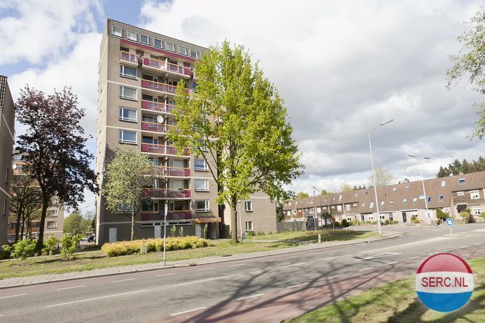 Nijmegen - Tolhuis