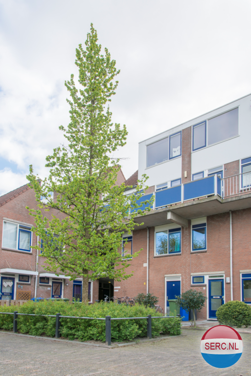 Dorlandsweer Sliedrecht