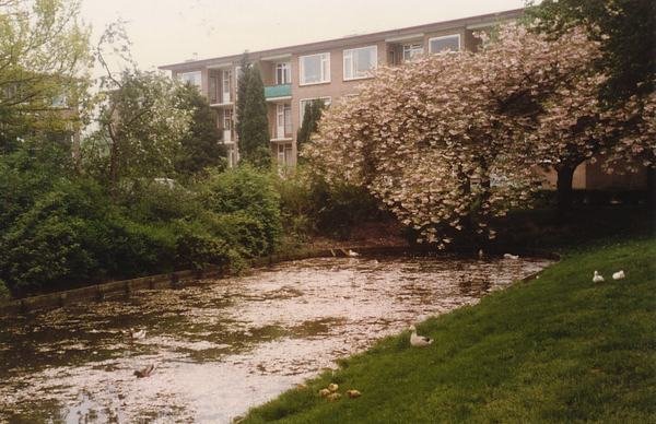Rembrandtlaan Sliedrecht
