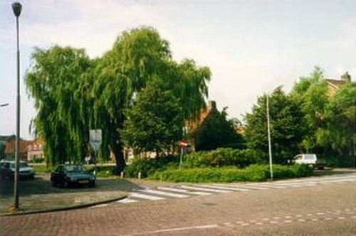 Rembrandtlaan Sliedrecht