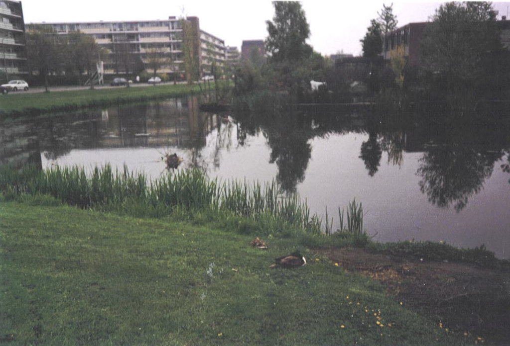 Rembrandtlaan Sliedrecht