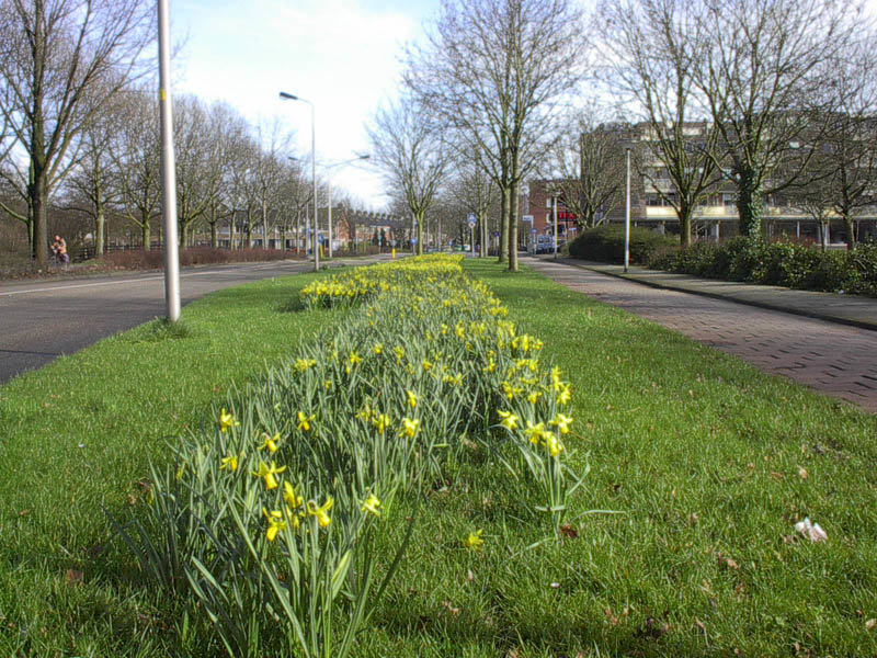 Deltalaan Sliedrecht
