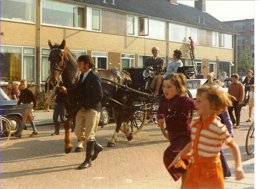 Maaslaan Sliedrecht