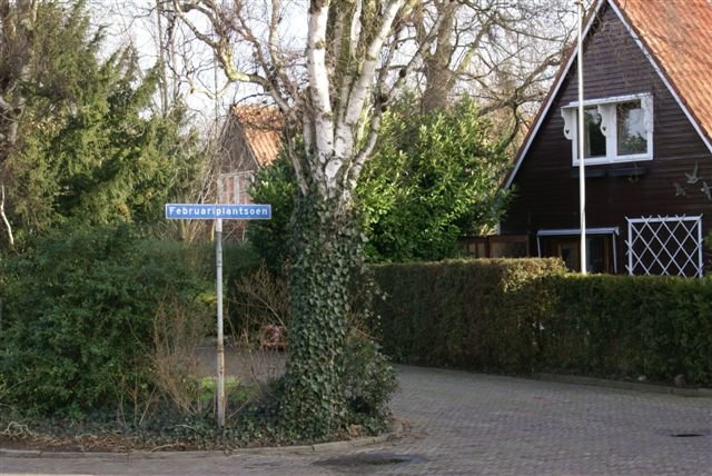 Februariplantsoen Sliedrecht