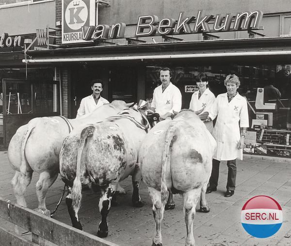 Burgemeester Winklerplein Sliedrecht