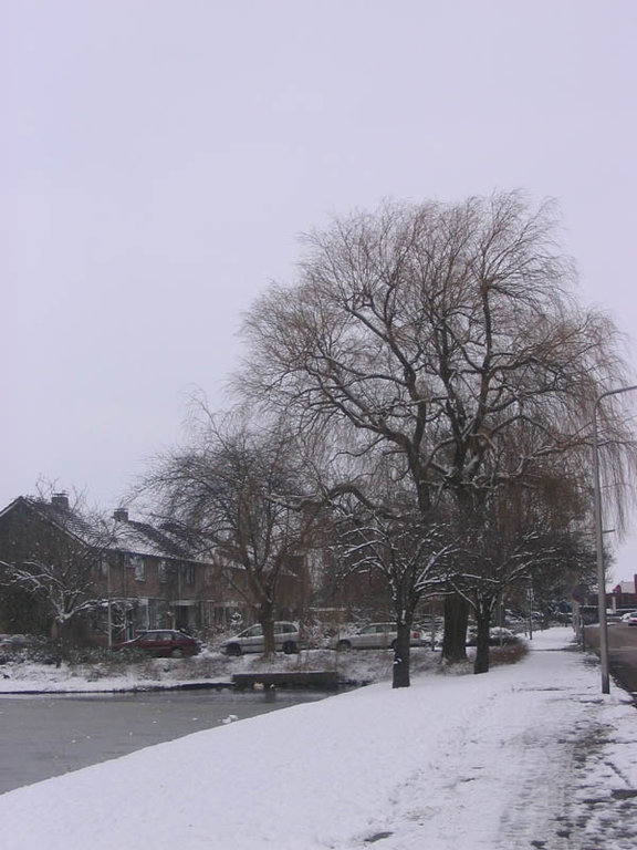 Rijnstraat Sliedrecht