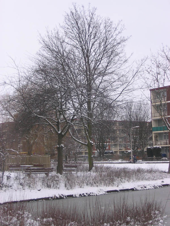 Rijnstraat Sliedrecht